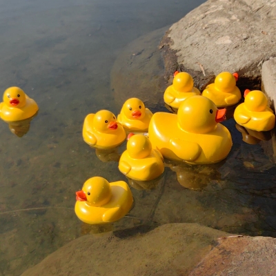Yellow Baby Duck Solar Fountain Water With Solar Panel Bath Duck